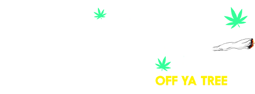 The Bong Shop